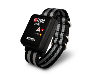 Portbale eletric filed detector